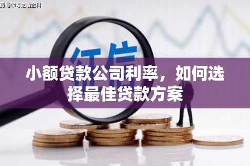阜城小额贷款公司利率，如何选择最佳贷款方案