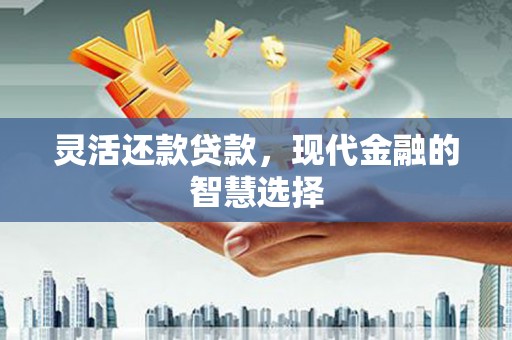 阜城灵活还款贷款，现代金融的智慧选择