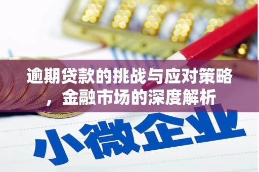 阜城逾期贷款的挑战与应对策略，金融市场的深度解析