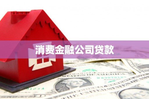 阜城消费金融公司贷款