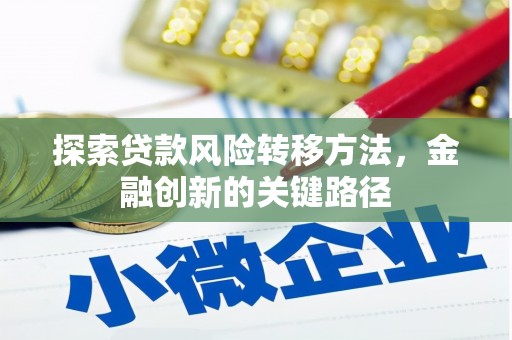 阜城探索贷款风险转移方法，金融创新的关键路径