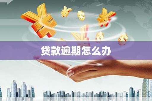 阜城贷款逾期怎么办