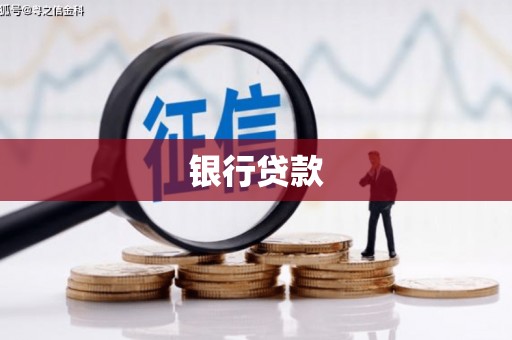 阜城银行贷款