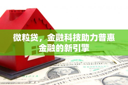 阜城微粒贷，金融科技助力普惠金融的新引擎