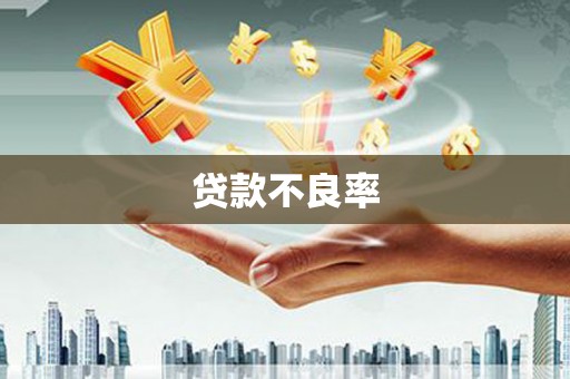 阜城贷款不良率