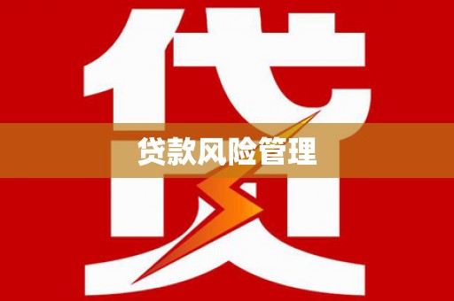 阜城贷款风险管理