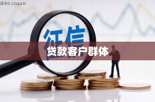 阜城贷款客户群体