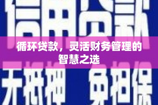 阜城循环贷款，灵活财务管理的智慧之选