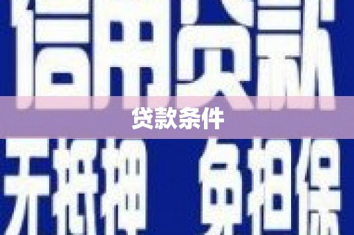 阜城贷款条件