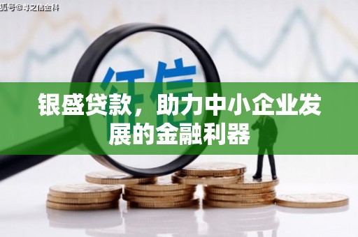 阜城银盛贷款，助力中小企业发展的金融利器