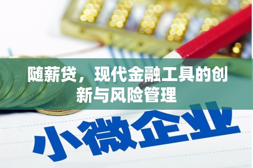 阜城随薪贷，现代金融工具的创新与风险管理