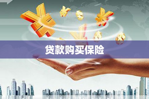 阜城贷款购买保险