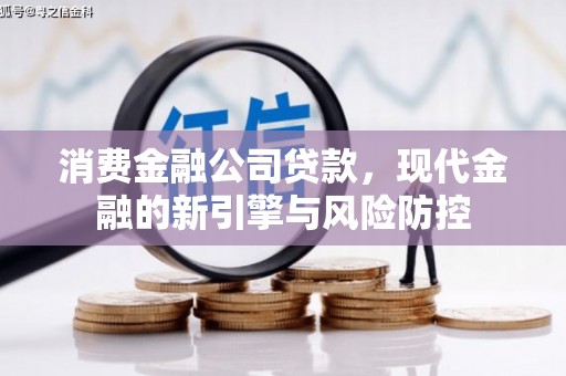 阜城消费金融公司贷款，现代金融的新引擎与风险防控