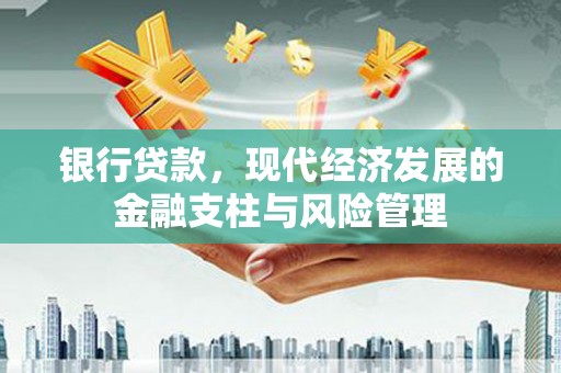 阜城银行贷款，现代经济发展的金融支柱与风险管理