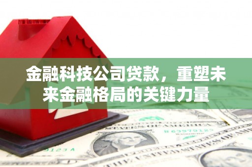 阜城金融科技公司贷款，重塑未来金融格局的关键力量