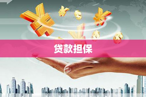 阜城贷款担保
