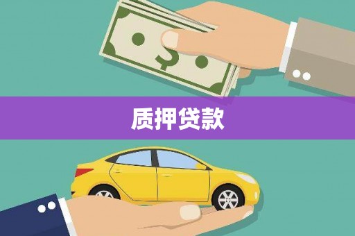 阜城质押贷款