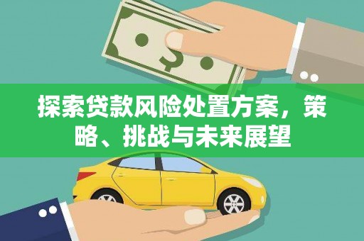 阜城探索贷款风险处置方案，策略、挑战与未来展望