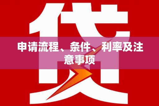 阜城申请流程、条件、利率及注意事项