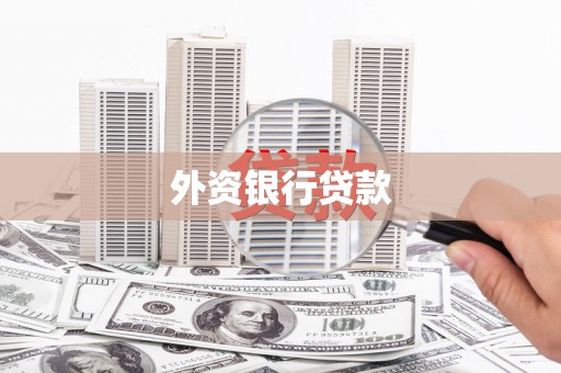 阜城外资银行贷款