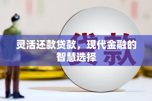 阜城灵活还款贷款，现代金融的智慧选择
