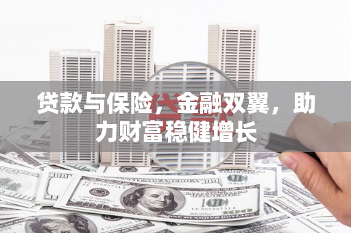 阜城贷款与保险，金融双翼，助力财富稳健增长