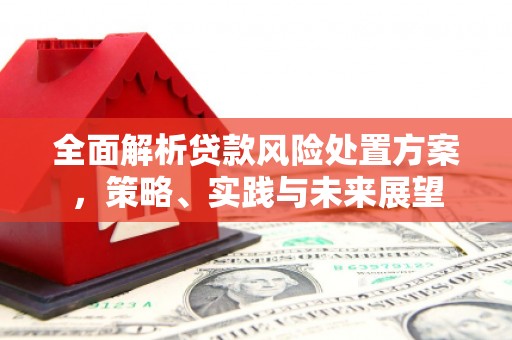 阜城全面解析贷款风险处置方案，策略、实践与未来展望