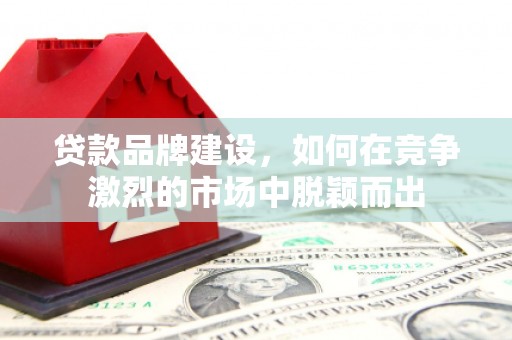 阜城贷款品牌建设，如何在竞争激烈的市场中脱颖而出