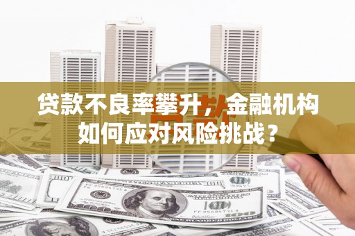 阜城贷款不良率攀升，金融机构如何应对风险挑战？