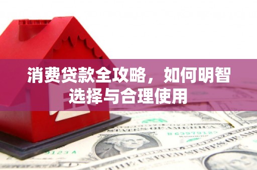 阜城消费贷款全攻略，如何明智选择与合理使用