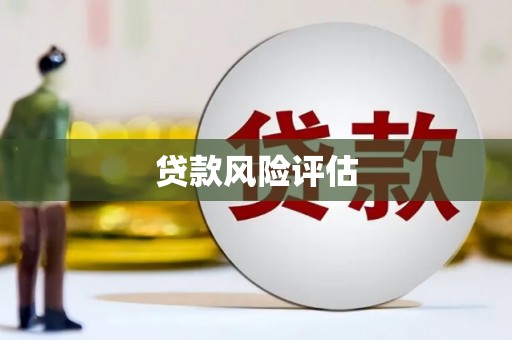阜城贷款风险评估