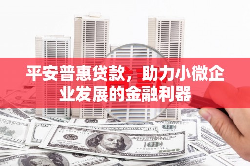 阜城平安普惠贷款，助力小微企业发展的金融利器