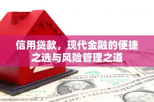 阜城信用贷款，现代金融的便捷之选与风险管理之道