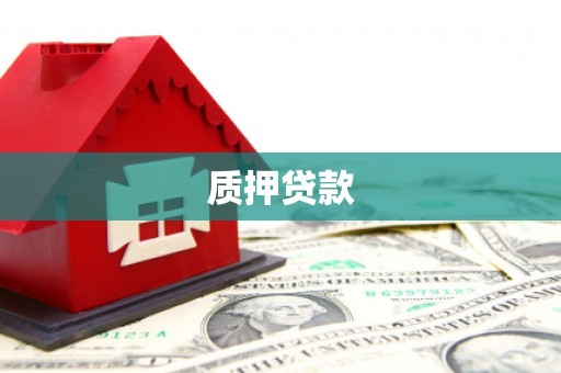 阜城质押贷款