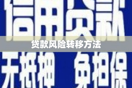 阜城贷款风险转移方法