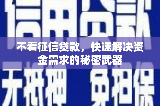 阜城不看征信贷款，快速解决资金需求的秘密武器