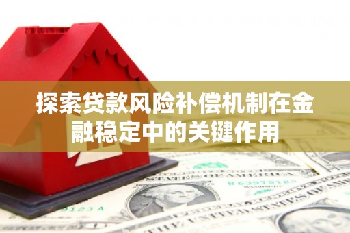 阜城探索贷款风险补偿机制在金融稳定中的关键作用