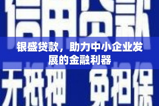 阜城银盛贷款，助力中小企业发展的金融利器