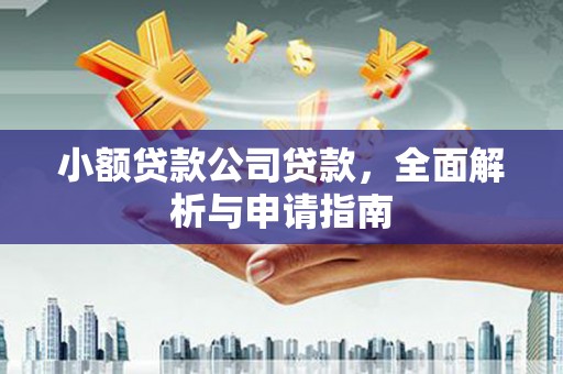 阜城小额贷款公司贷款，全面解析与申请指南
