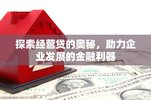 阜城探索经营贷的奥秘，助力企业发展的金融利器