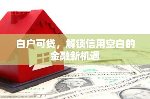 阜城白户可贷，解锁信用空白的金融新机遇