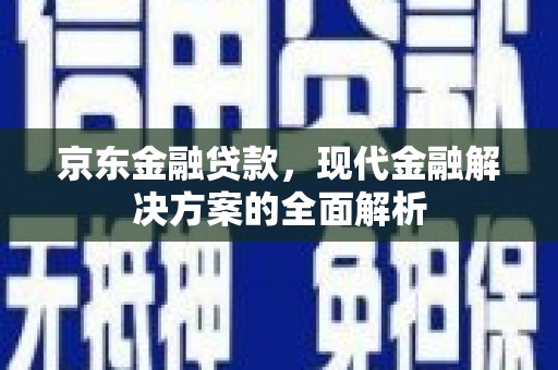 阜城京东金融贷款，现代金融解决方案的全面解析