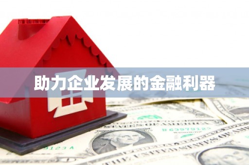 阜城助力企业发展的金融利器