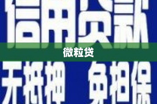 阜城微粒贷