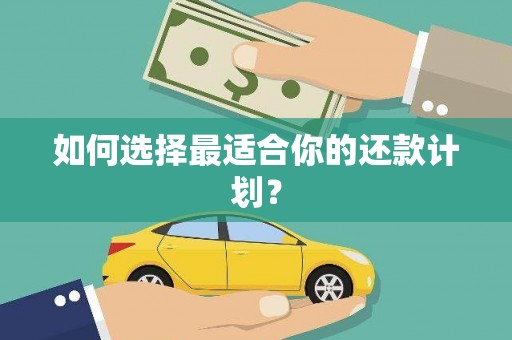 阜城如何选择最适合你的还款计划？