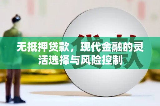 阜城无抵押贷款，现代金融的灵活选择与风险控制