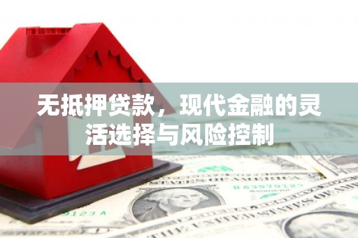 阜城无抵押贷款，现代金融的灵活选择与风险控制