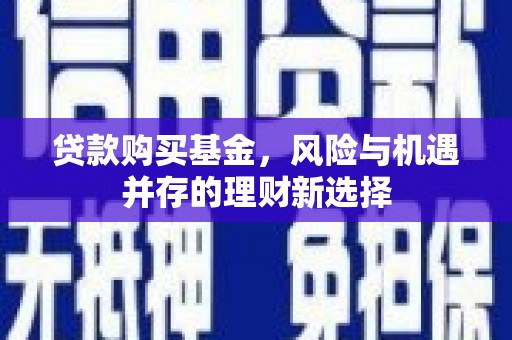 阜城贷款购买基金，风险与机遇并存的理财新选择