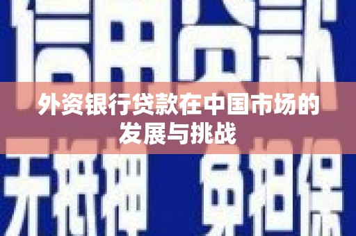阜城外资银行贷款在中国市场的发展与挑战