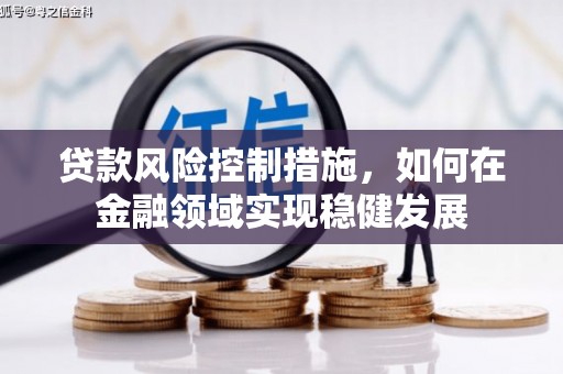 阜城贷款风险控制措施，如何在金融领域实现稳健发展
